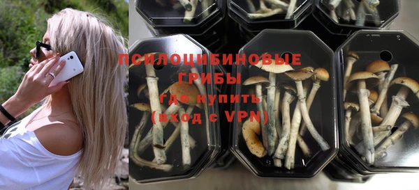 герыч Новодвинск