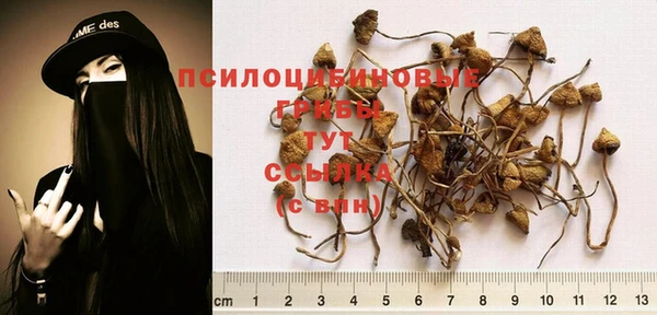 бутират Новозыбков