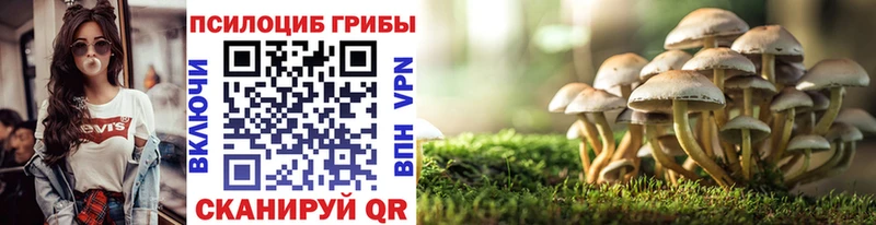 Псилоцибиновые грибы ЛСД  Мамадыш 